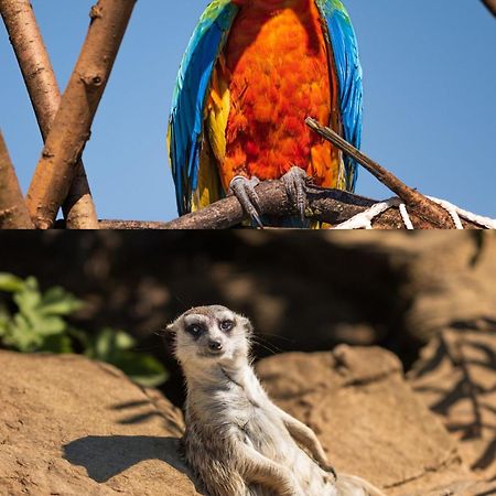 Faunapark Lipova-Lazne エクステリア 写真