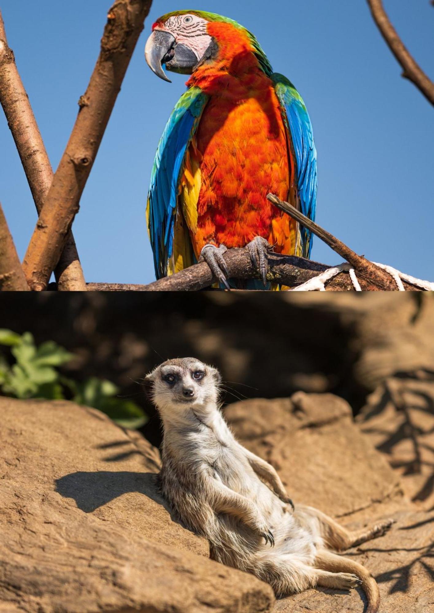 Faunapark Lipova-Lazne エクステリア 写真