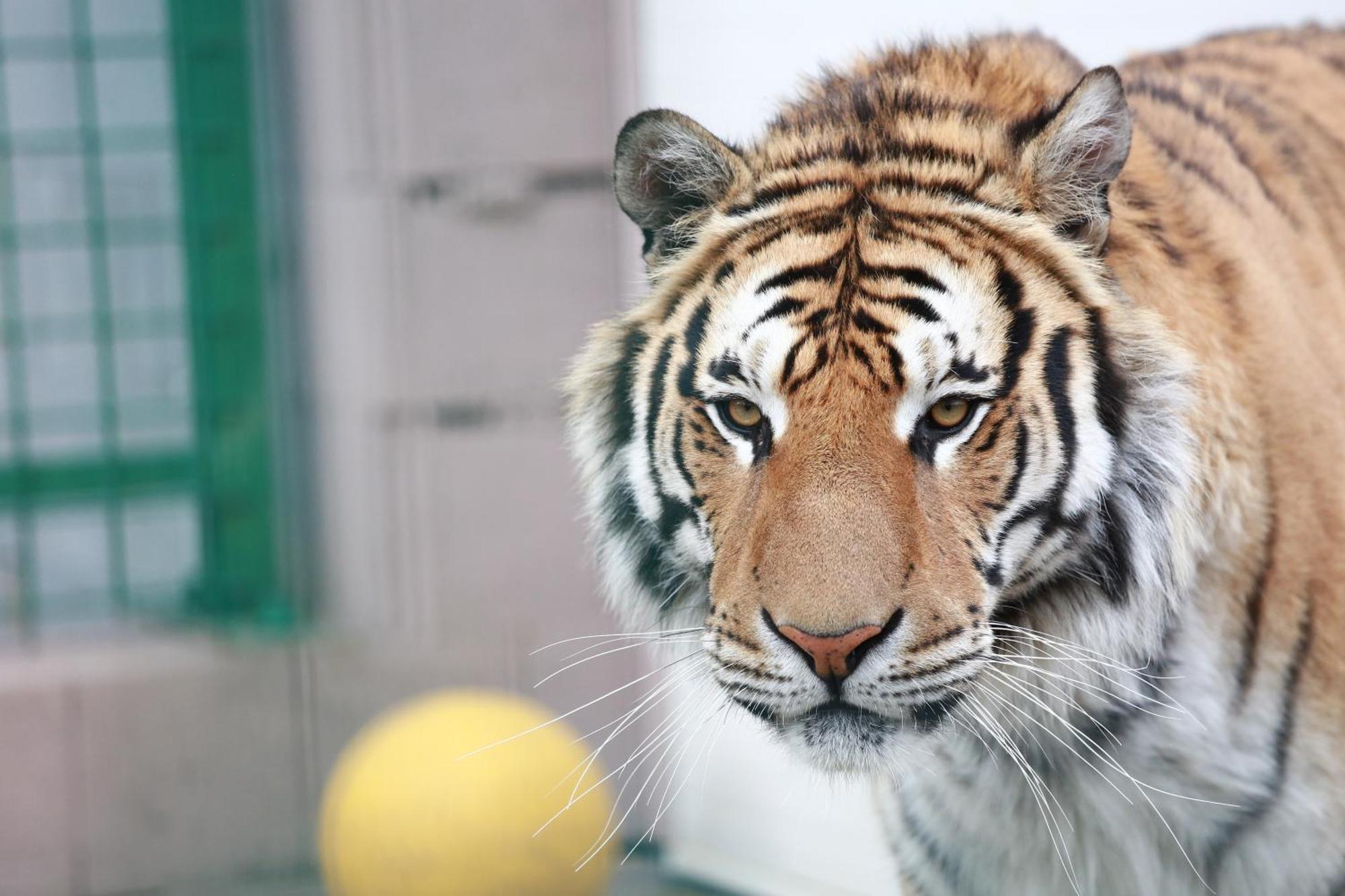 Faunapark Lipova-Lazne エクステリア 写真