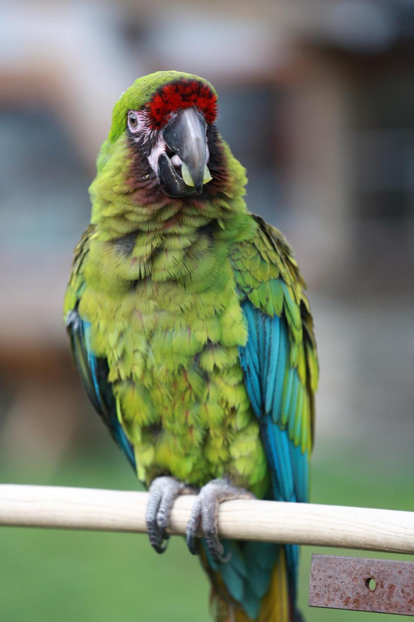 Faunapark Lipova-Lazne エクステリア 写真
